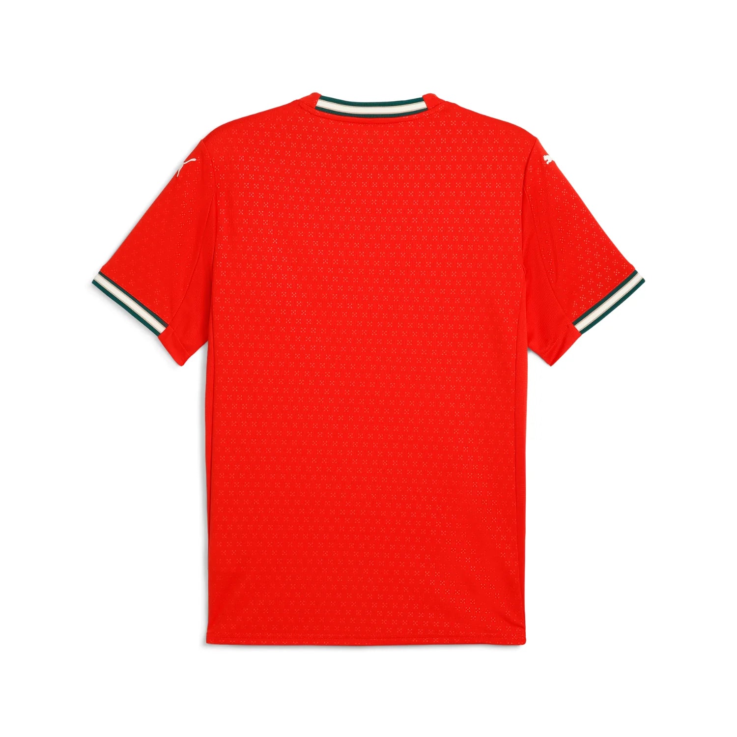 Puma Portugal 2025/26 Home Jersey