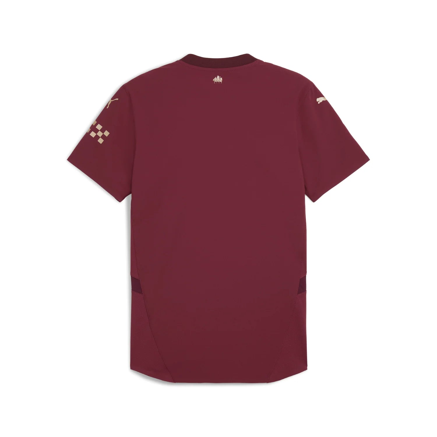 Puma Manchester City 2024/25 Third Jersey