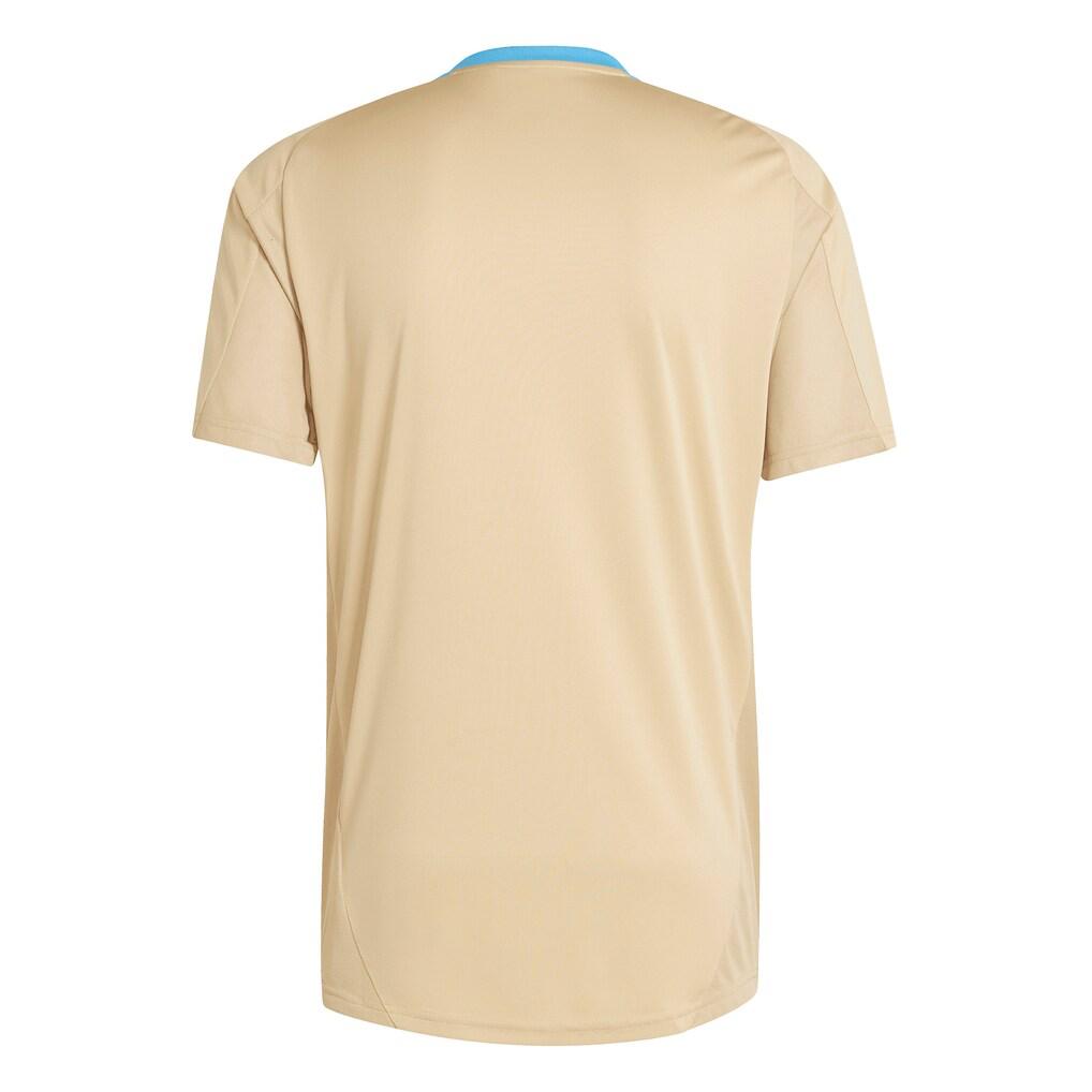 Adidas Argentina 2024/25 Training Jersey