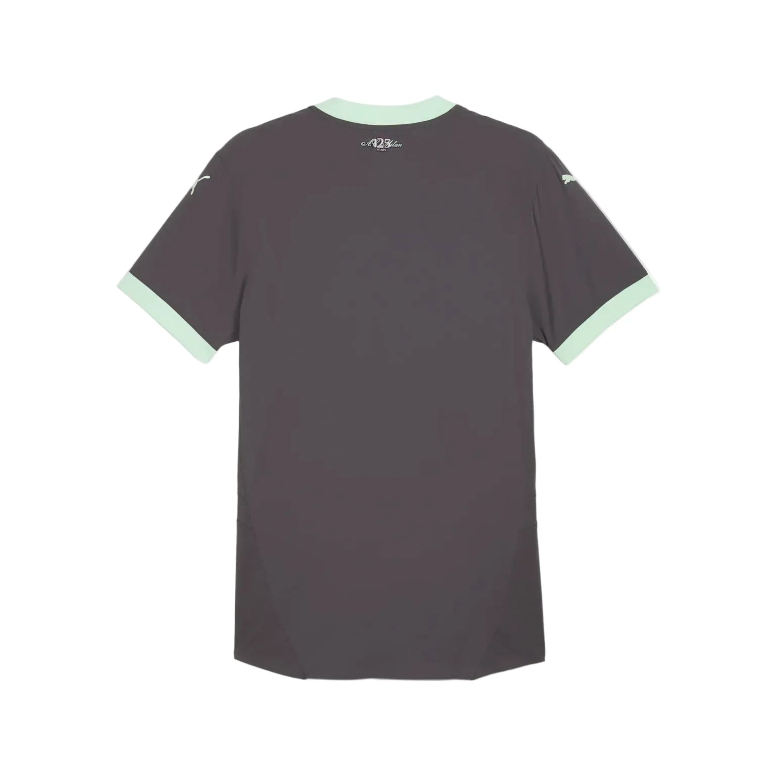 Puma AC Milan 2024/25 Third Jersey